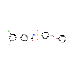 O=C(NS(=O)(=O)c1ccc(COc2ccccc2)cc1)c1ccc(-c2cc(Cl)cc(Cl)c2)cc1 ZINC000072184180