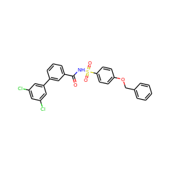 O=C(NS(=O)(=O)c1ccc(OCc2ccccc2)cc1)c1cccc(-c2cc(Cl)cc(Cl)c2)c1 ZINC000072180585