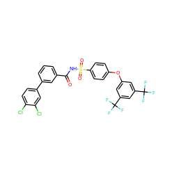 O=C(NS(=O)(=O)c1ccc(Oc2cc(C(F)(F)F)cc(C(F)(F)F)c2)cc1)c1cccc(-c2ccc(Cl)c(Cl)c2)c1 ZINC000072183173