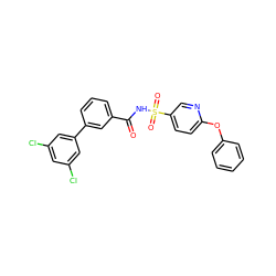 O=C(NS(=O)(=O)c1ccc(Oc2ccccc2)nc1)c1cccc(-c2cc(Cl)cc(Cl)c2)c1 ZINC000072182734