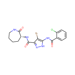 O=C(Nc1[nH]nc(C(=O)N[C@@H]2CCCCNC2=O)c1Br)c1ccccc1Cl ZINC000028711961