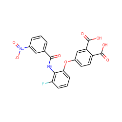 O=C(Nc1c(F)cccc1Oc1ccc(C(=O)O)c(C(=O)O)c1)c1cccc([N+](=O)[O-])c1 ZINC000013587608