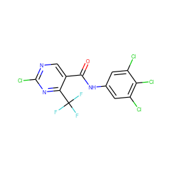 O=C(Nc1cc(Cl)c(Cl)c(Cl)c1)c1cnc(Cl)nc1C(F)(F)F ZINC000013555208