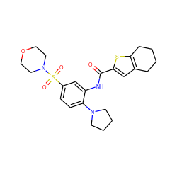 O=C(Nc1cc(S(=O)(=O)N2CCOCC2)ccc1N1CCCC1)c1cc2c(s1)CCCC2 ZINC000012543497