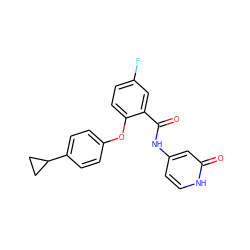 O=C(Nc1cc[nH]c(=O)c1)c1cc(F)ccc1Oc1ccc(C2CC2)cc1 ZINC000143208818