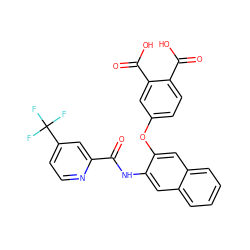 O=C(Nc1cc2ccccc2cc1Oc1ccc(C(=O)O)c(C(=O)O)c1)c1cc(C(F)(F)F)ccn1 ZINC000013587602