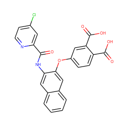 O=C(Nc1cc2ccccc2cc1Oc1ccc(C(=O)O)c(C(=O)O)c1)c1cc(Cl)ccn1 ZINC000013587598