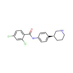 O=C(Nc1ccc([C@@H]2CCCNC2)cc1)c1ccc(Cl)cc1Cl ZINC000117723370