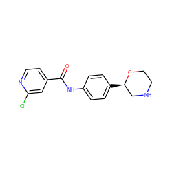 O=C(Nc1ccc([C@@H]2CNCCO2)cc1)c1ccnc(Cl)c1 ZINC000117719266