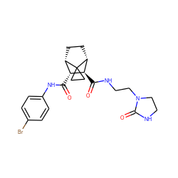 O=C(Nc1ccc(Br)cc1)[C@@H]1[C@@H]2CC[C@H]([C@H]1C(=O)NCCN1CCNC1=O)C21CC1 ZINC000168382996