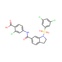 O=C(Nc1ccc(C(=O)O)c(Cl)c1)c1ccc2c(c1)N(S(=O)(=O)c1cc(Cl)cc(Cl)c1)CC2 ZINC000059718145