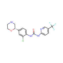 O=C(Nc1ccc(C(F)(F)F)cn1)Nc1ccc([C@H]2CNCCO2)cc1Cl ZINC000149928645