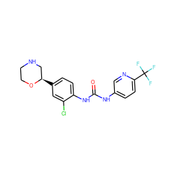 O=C(Nc1ccc(C(F)(F)F)nc1)Nc1ccc([C@@H]2CNCCO2)cc1Cl ZINC000149904679