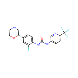 O=C(Nc1ccc(C(F)(F)F)nc1)Nc1ccc([C@H]2CNCCO2)cc1F ZINC000149939574