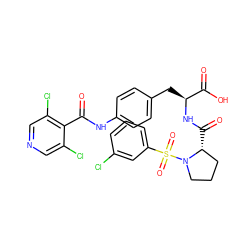 O=C(Nc1ccc(C[C@H](NC(=O)[C@@H]2CCCN2S(=O)(=O)c2cccc(Cl)c2)C(=O)O)cc1)c1c(Cl)cncc1Cl ZINC000029558414