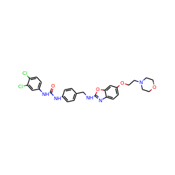 O=C(Nc1ccc(CNc2nc3ccc(OCCN4CCOCC4)cc3o2)cc1)Nc1ccc(Cl)c(Cl)c1 ZINC000653826069