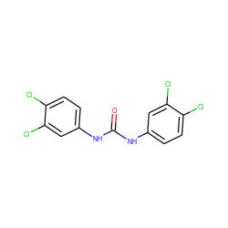 O=C(Nc1ccc(Cl)c(Cl)c1)Nc1ccc(Cl)c(Cl)c1 ZINC000000582127