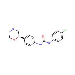 O=C(Nc1ccc(Cl)cc1)Nc1ccc([C@@H]2CNCCO2)cc1 ZINC000117730334