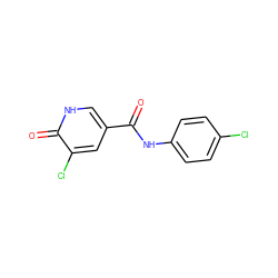 O=C(Nc1ccc(Cl)cc1)c1c[nH]c(=O)c(Cl)c1 ZINC000048666896