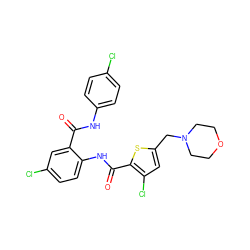 O=C(Nc1ccc(Cl)cc1)c1cc(Cl)ccc1NC(=O)c1sc(CN2CCOCC2)cc1Cl ZINC000014963664