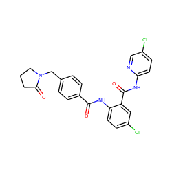 O=C(Nc1ccc(Cl)cc1C(=O)Nc1ccc(Cl)cn1)c1ccc(CN2CCCC2=O)cc1 ZINC000028092623