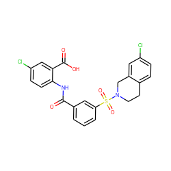 O=C(Nc1ccc(Cl)cc1C(=O)O)c1cccc(S(=O)(=O)N2CCc3ccc(Cl)cc3C2)c1 ZINC000040972730