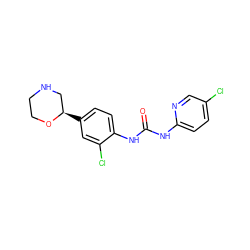 O=C(Nc1ccc(Cl)cn1)Nc1ccc([C@@H]2CNCCO2)cc1Cl ZINC000149841903