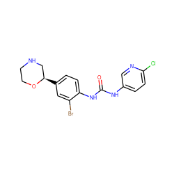 O=C(Nc1ccc(Cl)nc1)Nc1ccc([C@@H]2CNCCO2)cc1Br ZINC000149923571