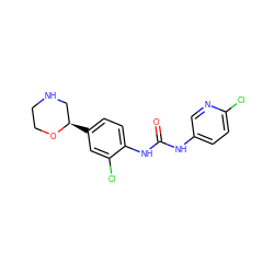 O=C(Nc1ccc(Cl)nc1)Nc1ccc([C@@H]2CNCCO2)cc1Cl ZINC000149894547