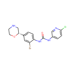 O=C(Nc1ccc(Cl)nc1)Nc1ccc([C@H]2CNCCO2)cc1Br ZINC000149923363