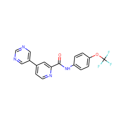 O=C(Nc1ccc(OC(F)(F)F)cc1)c1cc(-c2cncnc2)ccn1 ZINC000205905355