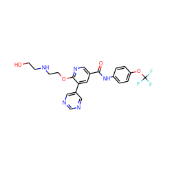 O=C(Nc1ccc(OC(F)(F)F)cc1)c1cnc(OCCNCCO)c(-c2cncnc2)c1 ZINC000205922786