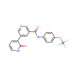 O=C(Nc1ccc(OC(F)(F)F)cc1)c1cncc(-c2ccc[nH]c2=O)c1 ZINC000205961770