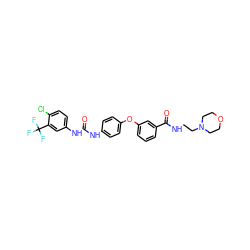 O=C(Nc1ccc(Oc2cccc(C(=O)NCCN3CCOCC3)c2)cc1)Nc1ccc(Cl)c(C(F)(F)F)c1 ZINC000027866753