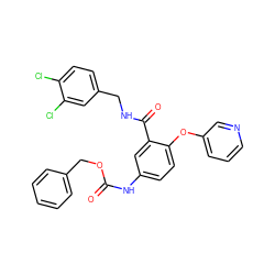 O=C(Nc1ccc(Oc2cccnc2)c(C(=O)NCc2ccc(Cl)c(Cl)c2)c1)OCc1ccccc1 ZINC000044416908