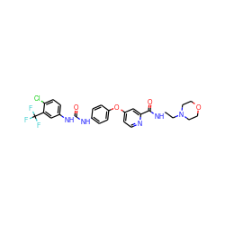 O=C(Nc1ccc(Oc2ccnc(C(=O)NCCN3CCOCC3)c2)cc1)Nc1ccc(Cl)c(C(F)(F)F)c1 ZINC000027870691