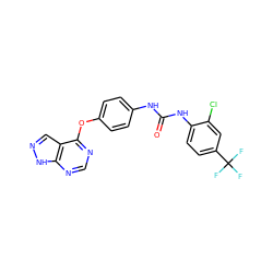 O=C(Nc1ccc(Oc2ncnc3[nH]ncc23)cc1)Nc1ccc(C(F)(F)F)cc1Cl ZINC000095589660