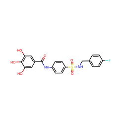 O=C(Nc1ccc(S(=O)(=O)NCc2ccc(F)cc2)cc1)c1cc(O)c(O)c(O)c1 ZINC000043072696