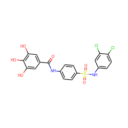 O=C(Nc1ccc(S(=O)(=O)Nc2ccc(Cl)c(Cl)c2)cc1)c1cc(O)c(O)c(O)c1 ZINC000043073791