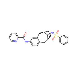 O=C(Nc1ccc2c(c1)C[C@H]1CC[C@@H](C2)[C@H]1NS(=O)(=O)c1ccccc1)c1ccccn1 ZINC000028350071