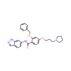 O=C(Nc1ccc2cn[nH]c2c1)c1ccc(OCCCN2CCCC2)cc1OCc1ccccc1 ZINC000072179982