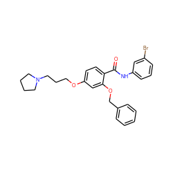 O=C(Nc1cccc(Br)c1)c1ccc(OCCCN2CCCC2)cc1OCc1ccccc1 ZINC000072182609