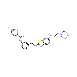 O=C(Nc1cccc(CNc2nc3ccc(OCCN4CCOCC4)cc3s2)c1)c1ccc(F)cc1 ZINC001772593963