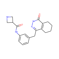 O=C(Nc1cccc(Cc2n[nH]c(=O)c3c2CCCC3)c1)C1CNC1 ZINC000167840784