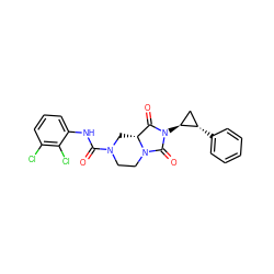 O=C(Nc1cccc(Cl)c1Cl)N1CCN2C(=O)N([C@H]3C[C@@H]3c3ccccc3)C(=O)[C@H]2C1 ZINC000072105415