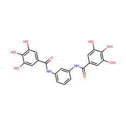 O=C(Nc1cccc(NC(=O)c2cc(O)c(O)c(O)c2)c1)c1cc(O)c(O)c(O)c1 ZINC000003937613