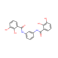 O=C(Nc1cccc(NC(=O)c2cccc(O)c2O)c1)c1cccc(O)c1O ZINC000003937611