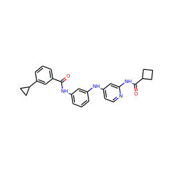 O=C(Nc1cccc(Nc2ccnc(NC(=O)C3CCC3)c2)c1)c1cccc(C2CC2)c1 ZINC000653853878