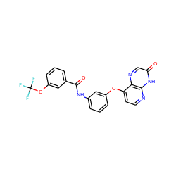 O=C(Nc1cccc(Oc2ccnc3[nH]c(=O)cnc23)c1)c1cccc(OC(F)(F)F)c1 ZINC000058554613