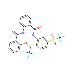 O=C(Nc1cccc(S(=O)(=O)C(F)(F)F)c1)c1ccccc1NC(=O)c1ccccc1OCC(F)(F)F ZINC000199852464